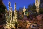 christmas-cactus